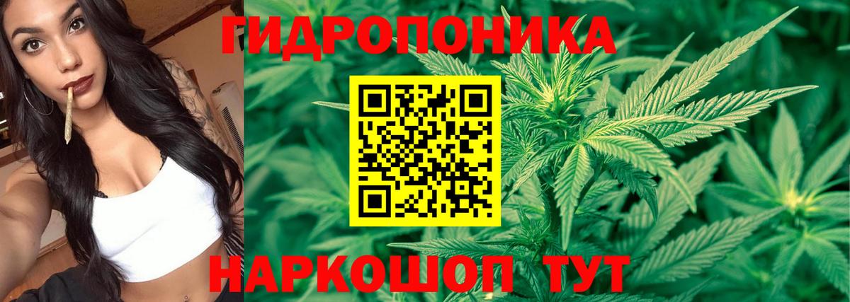 МАРИХУАНА план  Канабис Bruce Banner  Мариинск  Вход с VPN  Шишки марихуана сатива 